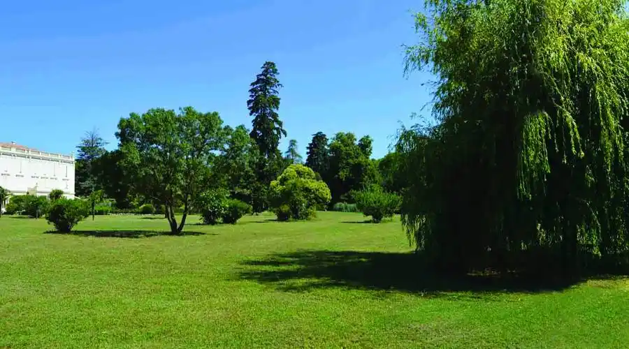 Lieu dit la roque,Servian,34290,France,16 Bedrooms Bedrooms,16 Rooms Rooms,16 BathroomsBathrooms,Residential,Lieu dit la roque ,268068