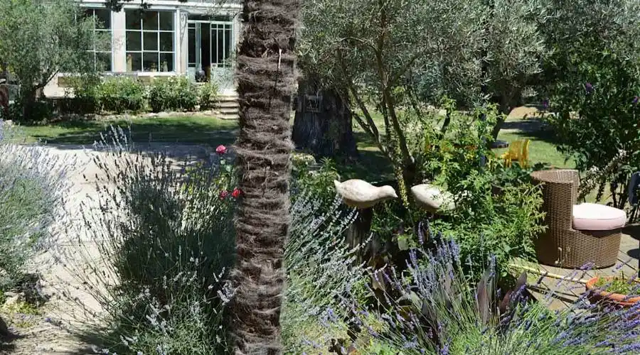 Lieu dit la roque,Servian,34290,France,16 Bedrooms Bedrooms,16 Rooms Rooms,16 BathroomsBathrooms,Residential,Lieu dit la roque ,268068