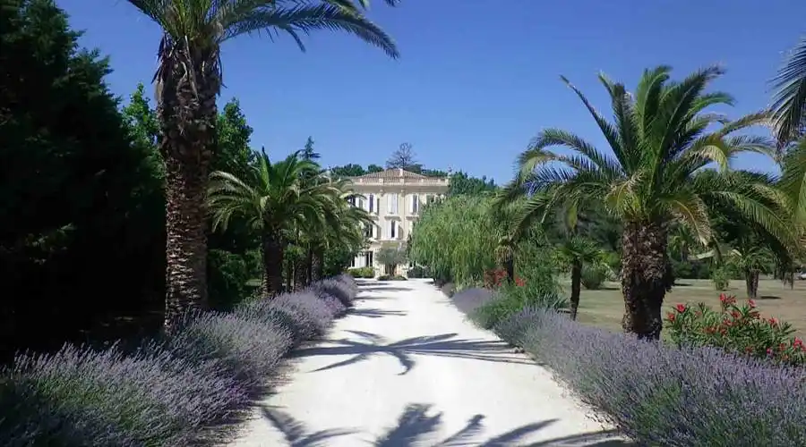 Lieu dit la roque,Servian,34290,France,16 Bedrooms Bedrooms,16 Rooms Rooms,16 BathroomsBathrooms,Residential,Lieu dit la roque ,268068