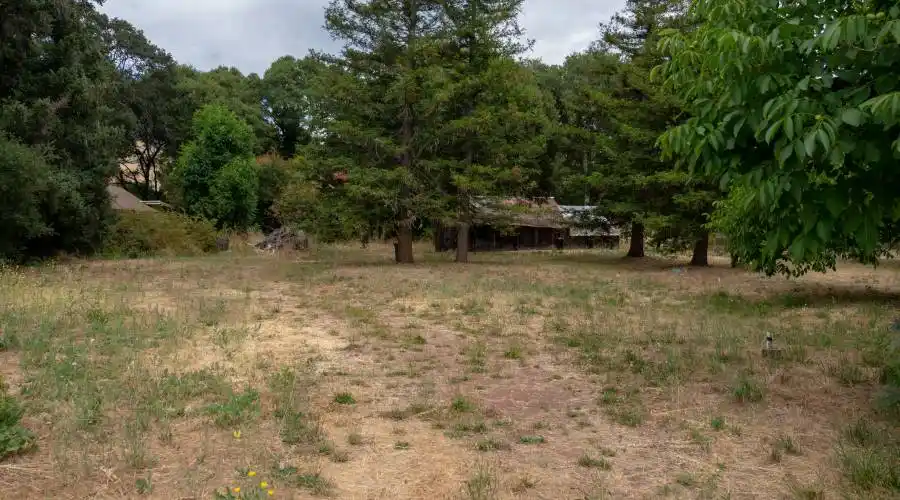 14251 Hwy 128,boonville,California 95415,United States,2 Bedrooms Bedrooms,7 Rooms Rooms,1 BathroomBathrooms,Commercial,The Live Oak Building,Hwy 128,1,270146