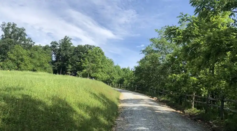 1600 Golden Road,Brevard,North Carolina 28712,United States,12 Bedrooms Bedrooms,Land,Earthshine,Golden Road,2,272390