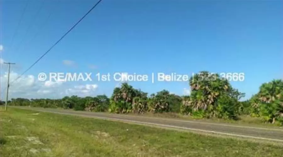 6554 - Large Development Property in Placencia ?,Placencia,Stann Creek,XX Belize,Residential,6554 - Large Development Property in Placencia ? ,55984