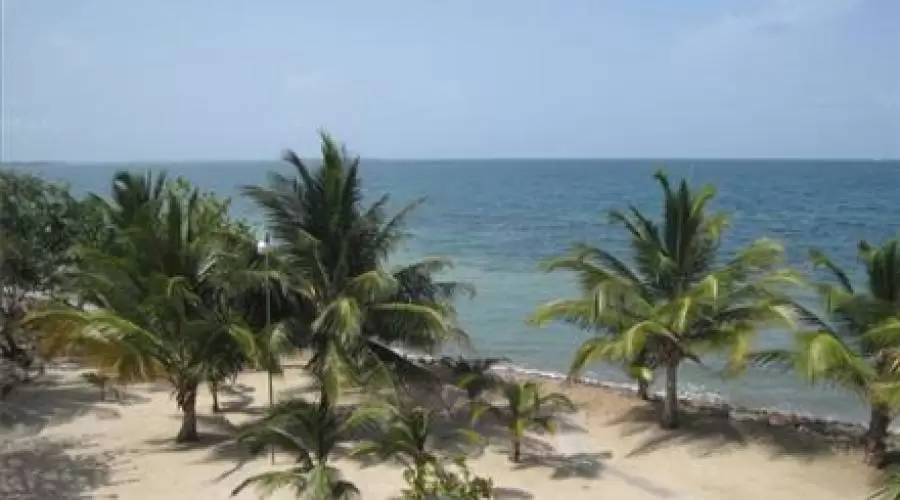 6768 - Dolphin Beach Belize -,Placencia,Stann Creek,XX Belize,Residential,6768 - Dolphin Beach Belize - ,55986