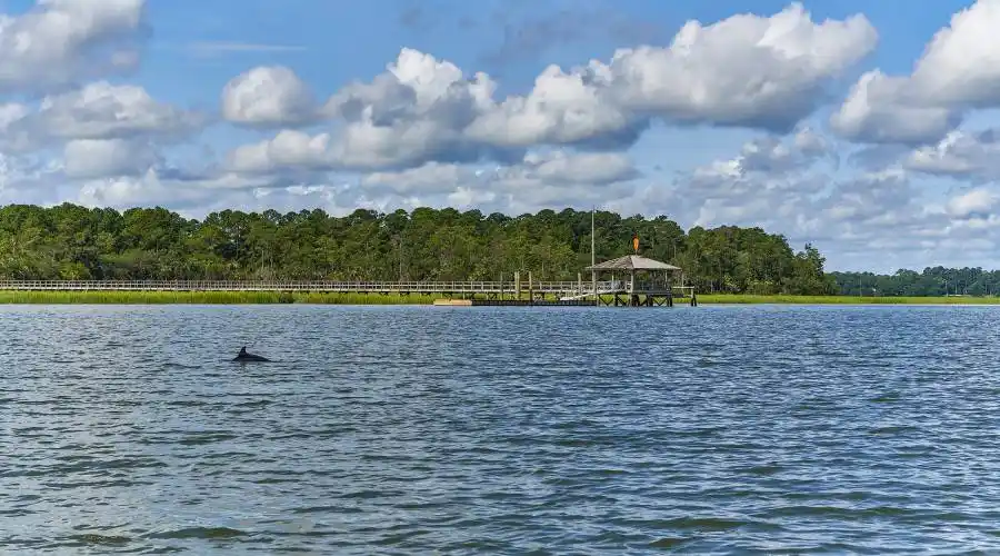 8 Pine Island, Okatie, South Carolina 29909, United States, 4 Bedrooms Bedrooms, ,4 BathroomsBathrooms,Waterfront,For Sale,Pine Island,649799