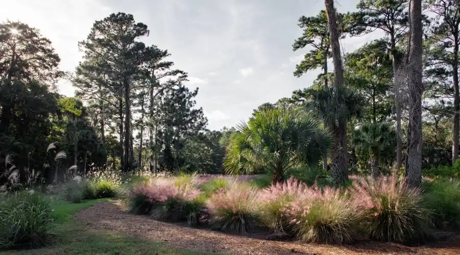 8 Pine Island, Okatie, South Carolina 29909, United States, 4 Bedrooms Bedrooms, ,4 BathroomsBathrooms,Waterfront,For Sale,Pine Island,649799