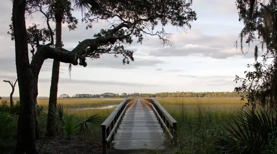 8 Pine Island, Okatie, South Carolina 29909, United States, 4 Bedrooms Bedrooms, ,4 BathroomsBathrooms,Waterfront,For Sale,Pine Island,649799