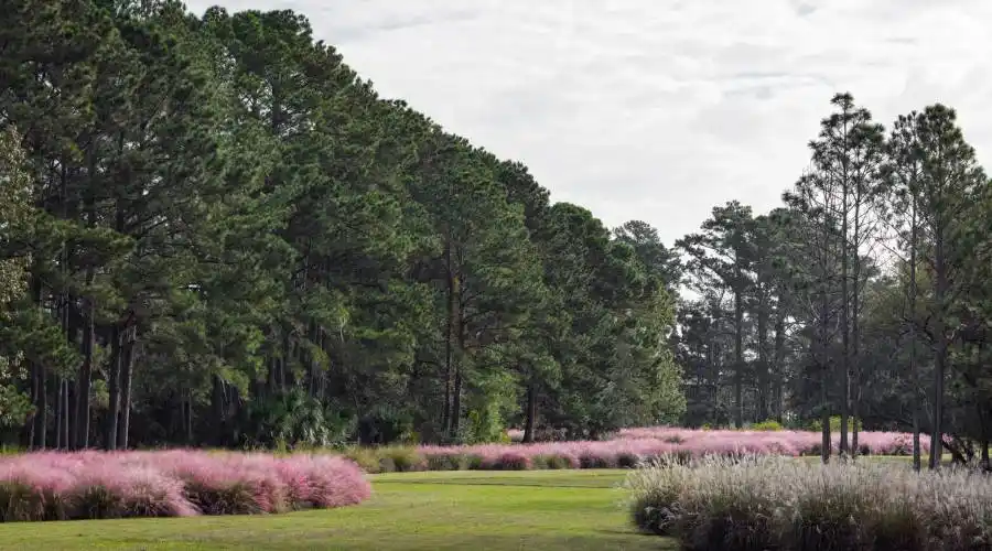 8 Pine Island, Okatie, South Carolina 29909, United States, 4 Bedrooms Bedrooms, ,4 BathroomsBathrooms,Waterfront,For Sale,Pine Island,649799