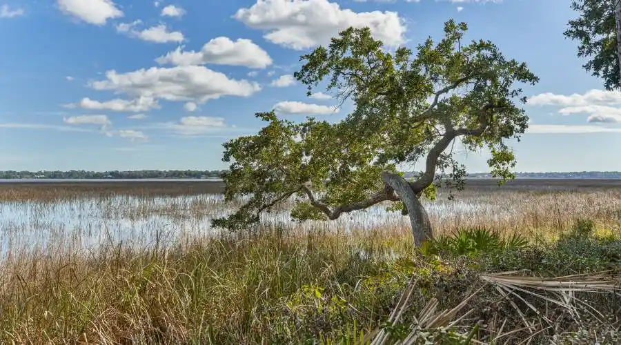 238 Spring Island Drive, Okatie, South Carolina 29909, United States, 3 Bedrooms Bedrooms, ,2 BathroomsBathrooms,Waterfront,For Sale,Spring Island,651222