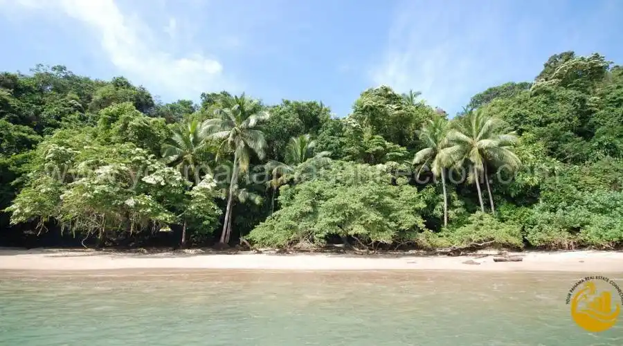 Isla Saboga, Panama, ,Land,For Sale,740551