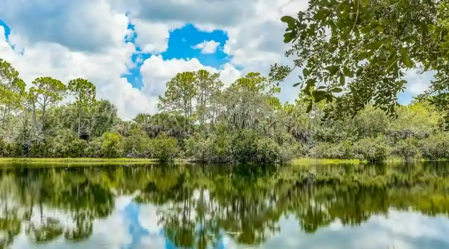 1108 Mallard Marsh Dr, Osprey, Florida 34229, United States, 4 Bedrooms Bedrooms, 7 Rooms Rooms,3 BathroomsBathrooms,Residential,For Sale,Mallard Marsh,743410
