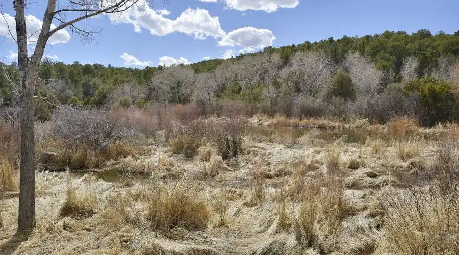 38 Johnsons Ranch Rd, Santa Fe, New Mexico 87505, United States, 3 Bedrooms Bedrooms, ,4 BathroomsBathrooms,Residential,For Sale,Johnsons Ranch Rd,745764