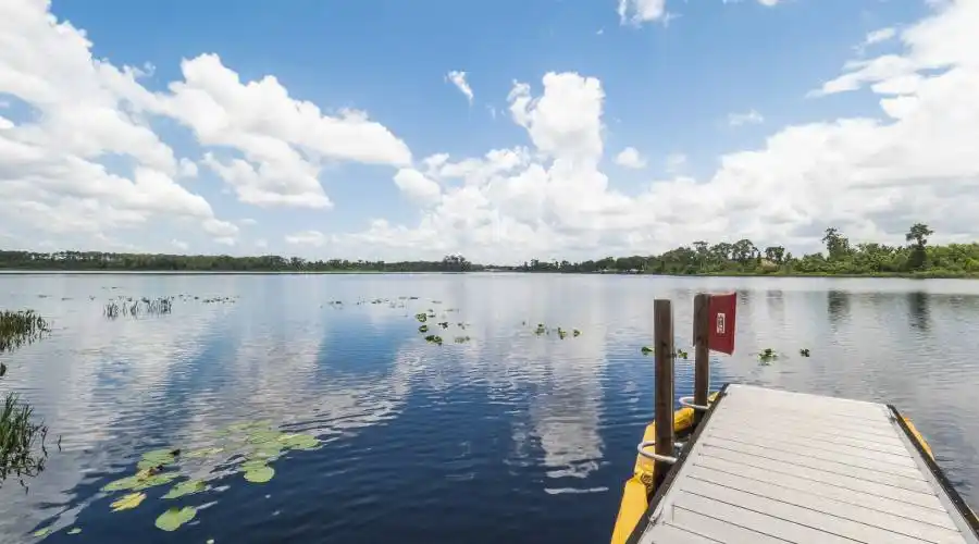 10781 Royal Cypress Way, Orlando, Florida 32836, United States, 5 Bedrooms Bedrooms, 16 Rooms Rooms,4 BathroomsBathrooms,Residential,For Sale,Royal Cypress Way,769167
