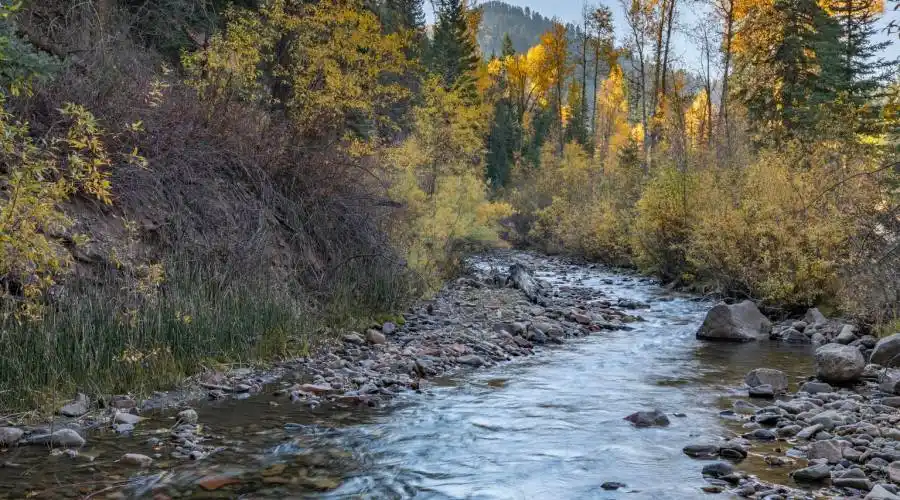 tbd Fall Creek rd, Placerville, Colorado 81430, United States, ,Land,For Sale,Fall Creek ,894658